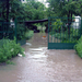 2010 05 29 Novaj áradás 057 1