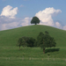 tree-sky-clouds