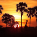 sunsets africa michael poliza 10-500x343
