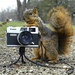 squirrelcam