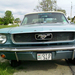 Ford Mustang IMAGE 00392