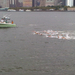 FINA 10K swim race, Governors Island, women's start