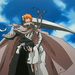 bleach ichigo-rukia0129