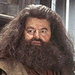 hagrid2