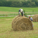 2010 Kelecsény 120