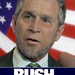 bush 2044