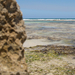 Yanchep Lagoon 22