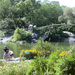 431 Central Park-The Pond