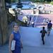 467 Central Park-Bethesda Fountain and Terrace