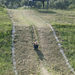 2009.09.19.ipolydamásdi cross (25)