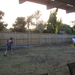 backyard cricket