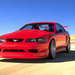 2000 Ford Mustang Cobra R-1