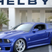 shelby 1