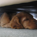 Under sofa