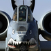A-10 Warthog.preview