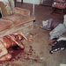 Sharon-Tate-murder-scene