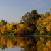 Tisza tó ősszel