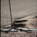 halott egylábú esernyőmadár - cím by Pingu
