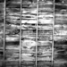 00643 bwwoodwall 2560x1600