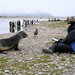 Antarctica 2010 with Cheesemans Ecology Safaris s