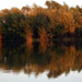 A Szulai-tó őszi színei