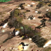 command.and.conquer.3.tiberium.wars.image2
