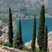 kotor