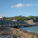 Dover (7)