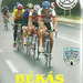 bekas100K