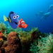 Finding Nemo 2 115720