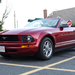 Mustang 15