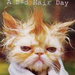 A Bad Hair Day