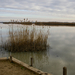 Tisza tó télen 2