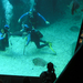 064 Cape Town Aquarium