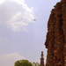 Delhi: Qutab minar