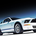 shelby-gt500-1600