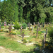 temető 49