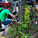 8 - Utcafront látképe ültető kertbarátokkal