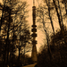tower in the forest by pauljavor
