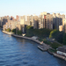 Roosevelt island