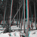 Forest3 3D