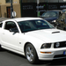 Ford Mustang 029