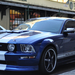 Ford Mustang 095