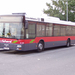 busz (41)