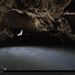 bats-cave-mexico-678073-xl (Medium)