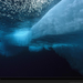 underwater-ice-nicklen-749282-xl (Medium)