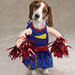 dog cheerleading-12789 (Medium)