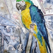 parrot bird painting small