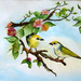 Spring Birds Watercolor