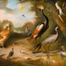 edward mccosh variety of birds (Medium)